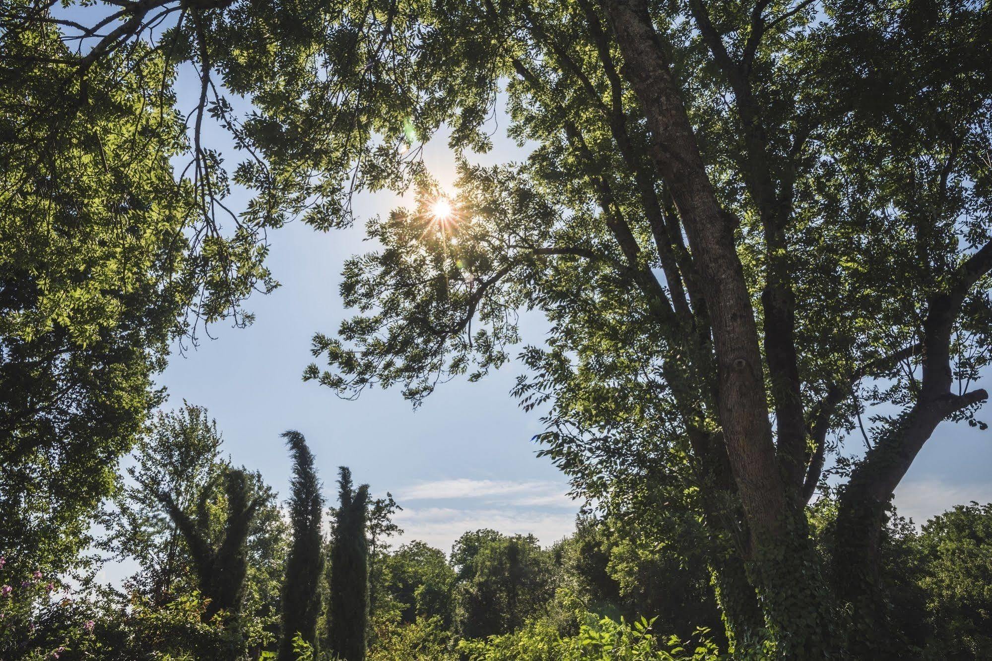 Domaine De Terrac Bed and Breakfast Rimont Exterior foto
