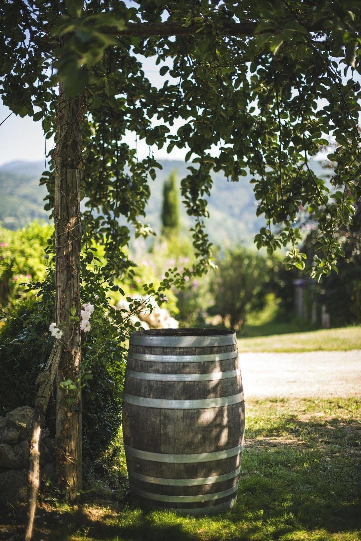 Domaine De Terrac Bed and Breakfast Rimont Exterior foto